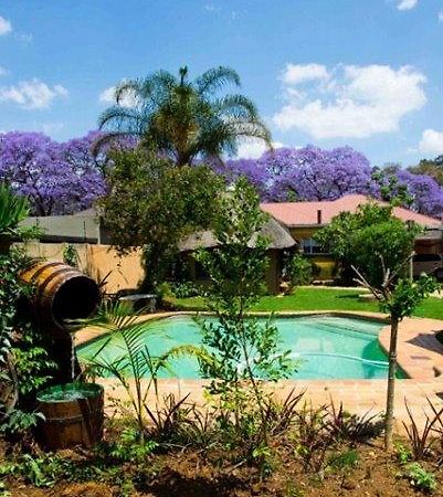 1322 Backpackers International Hostel Pretoria Exterior photo